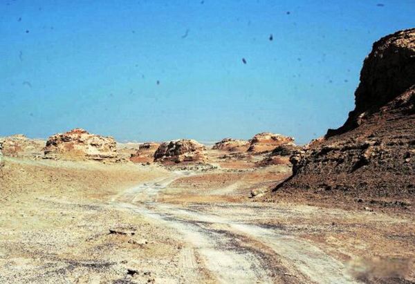 ����ľ֮���ѽ� Ϊʲô�Ҳ�������ľ��ԭ��