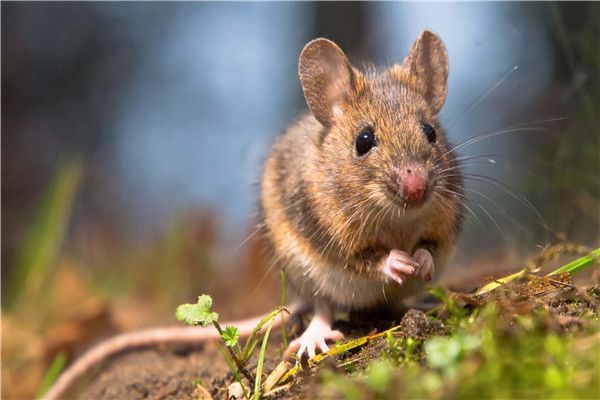 ��������ɺ��ư����� ������Щ���ɵ������¸��ǲ���