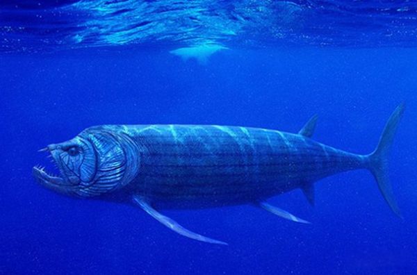 �޴�ʮ�󺣹ִ�˵ ʷ����ֲ��ĺ������ﴫ˵����