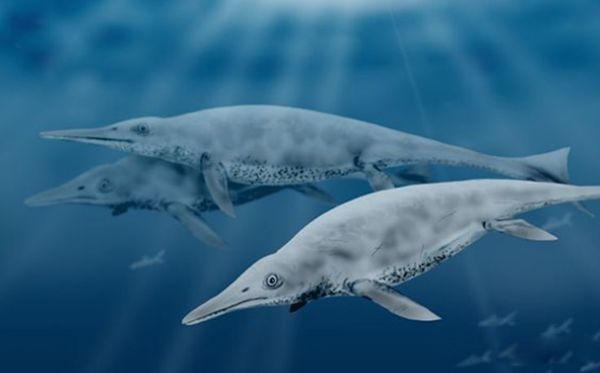 �޴�ʮ�󺣹ִ�˵ ʷ����ֲ��ĺ������ﴫ˵����