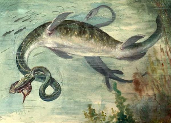 �޴�ʮ�󺣹ִ�˵ ʷ����ֲ��ĺ������ﴫ˵����