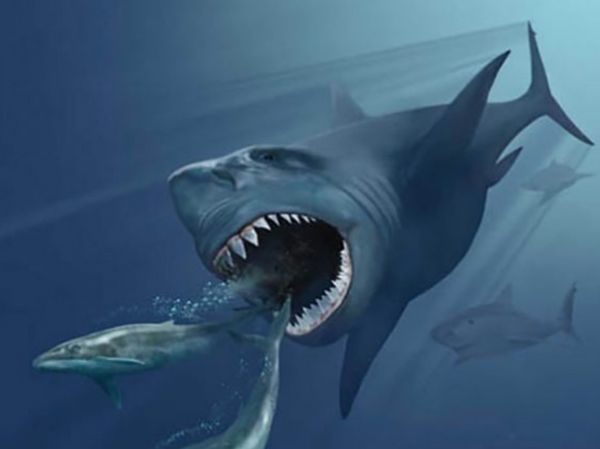 �޴�ʮ�󺣹ִ�˵ ʷ����ֲ��ĺ������ﴫ˵����