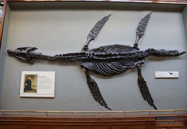 �޴�ʮ�󺣹ִ�˵ ʷ����ֲ��ĺ������ﴫ˵����