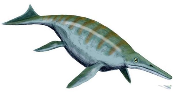 �޴�ʮ�󺣹ִ�˵ ʷ����ֲ��ĺ������ﴫ˵����