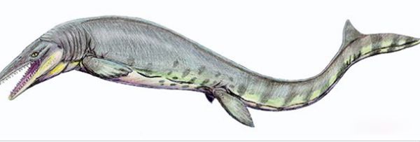 �޴�ʮ�󺣹ִ�˵ ʷ����ֲ��ĺ������ﴫ˵����