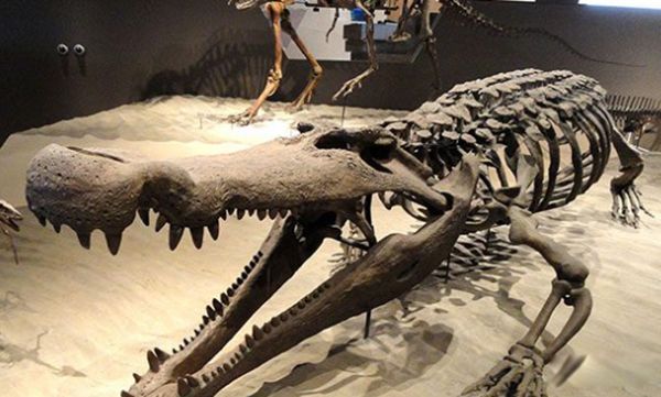 �޴�ʮ�󺣹ִ�˵ ʷ����ֲ��ĺ������ﴫ˵����