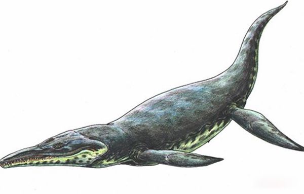 �޴�ʮ�󺣹ִ�˵ ʷ����ֲ��ĺ������ﴫ˵����