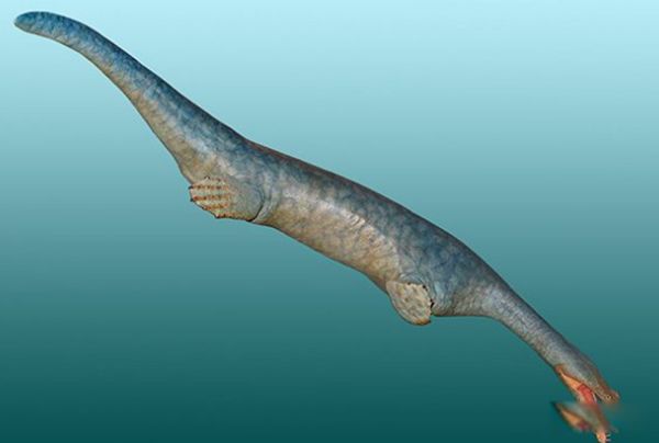 �޴�ʮ�󺣹ִ�˵ ʷ����ֲ��ĺ������ﴫ˵����