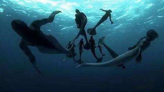 ���������ʵĺ��� �ڡ�����ǡ��о�����ؼ���