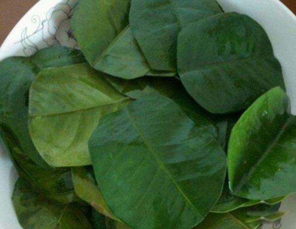 ʲô��ɫ��й� ��Щ��ɫ�Ͷ����ܹ���а