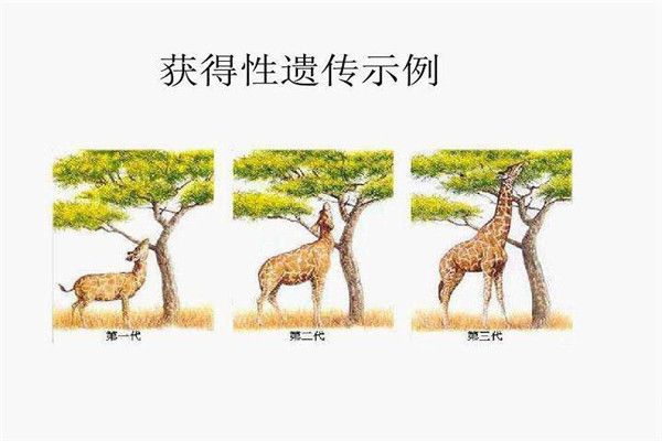 ������Ŵ���ʲô��˼ ������ۿ��Է�Ϊ������