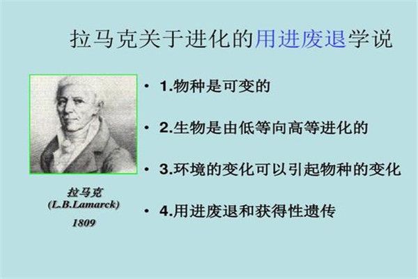 ������Ŵ���ʲô��˼ ������ۿ��Է�Ϊ������