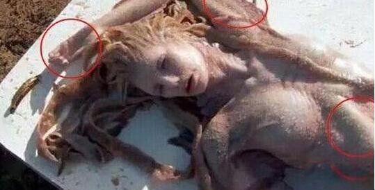 ���������ʵĺ��� �ڡ�����ǡ��о�����ؼ���