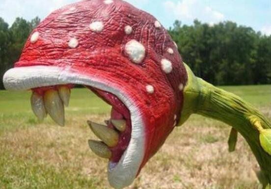 世界上真的有食人花吗 世界上最大的食人花是一种大王花