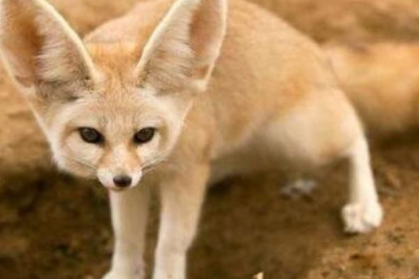 �ع�������ʵ�Ķ����� ���������ᵽ�Ľ�ɫ���鹹��