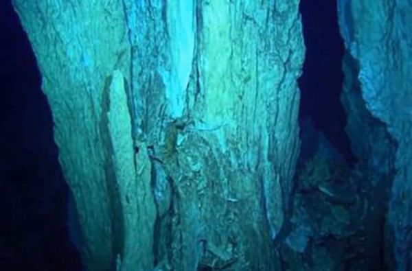 �������ɺ�������10000��û������ �����ղ���ȥ�ж�ֲ�