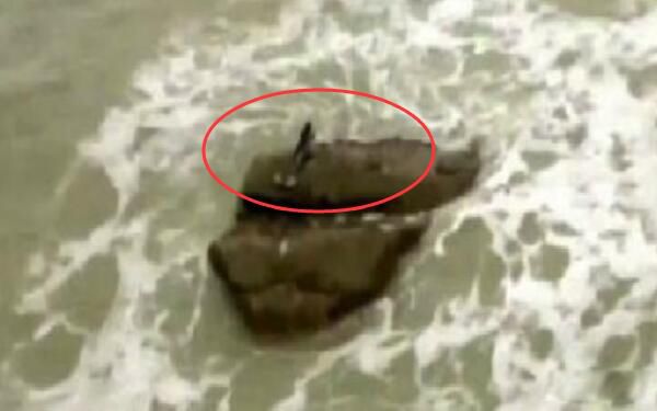 ��ɫ�������������Ǽ� ��ɫ���ο��ĵ��������¼�ʼĩ