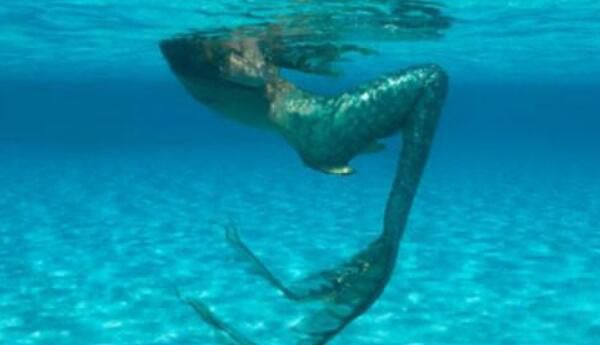 ��ɫ�������������Ǽ� ��ɫ���ο��ĵ��������¼�ʼĩ