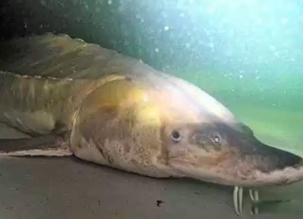 ���ĵ�ˮ������ǰʮ �׾�����������24Ӣ�����س���3500��