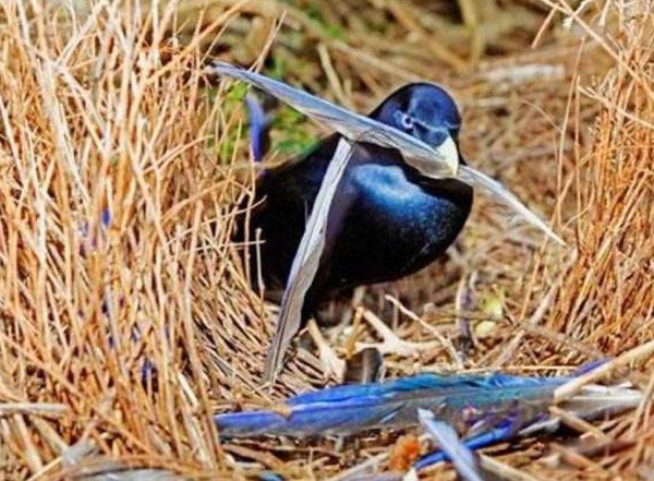 ���ﷱֳ�ķ�ʽ���ļ��� ��֪����Щ��������ֳⷱ��ʽ�����˵��