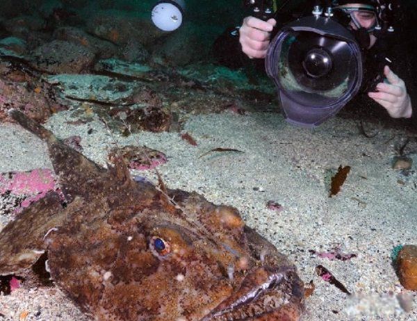 ���ﷱֳ�ķ�ʽ���ļ��� ��֪����Щ��������ֳⷱ��ʽ�����˵��