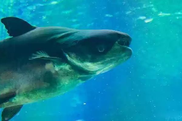 ���ĵ�ˮ������ǰʮ �׾�����������24Ӣ�����س���3500��