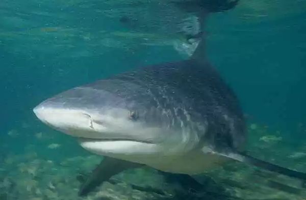 ���ĵ�ˮ������ǰʮ �׾�����������24Ӣ�����س���3500��