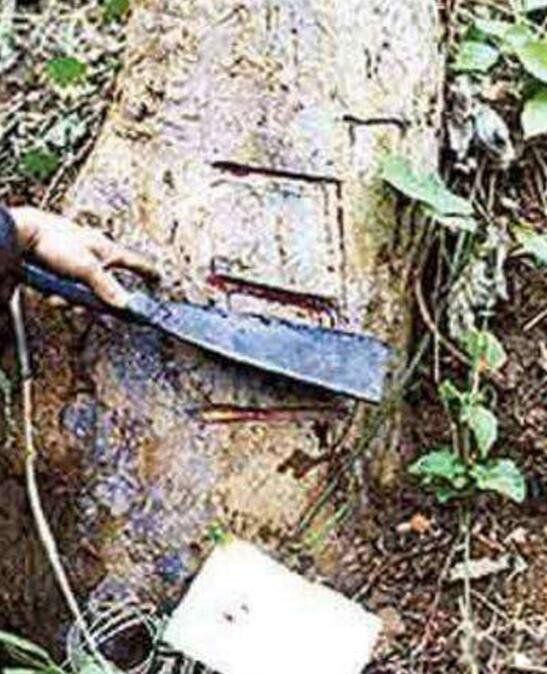 ��Ѫ����Ĵ����� ����������Ѫ����ʲô��