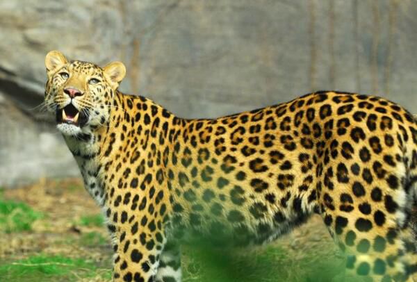 ��Ǯ���Ǽ����������� ������Խ��Խ�����ڹ���һ����������