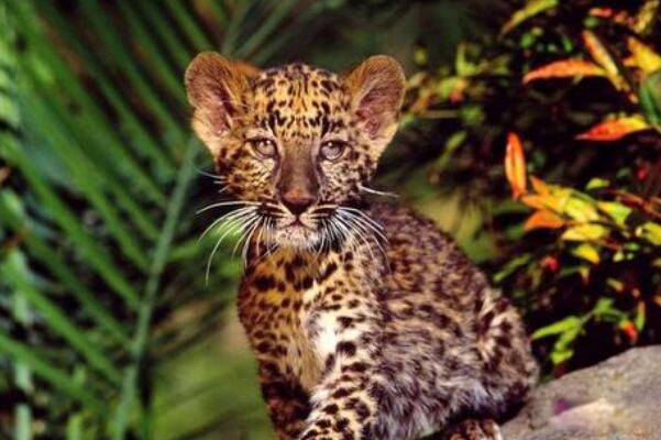 ��Ǯ���Ǽ����������� ������Խ��Խ�����ڹ���һ����������