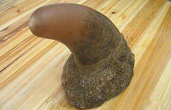 ʮ�����Ķ������� ǰʮ�����Ķ����Ƕ���Ǯ