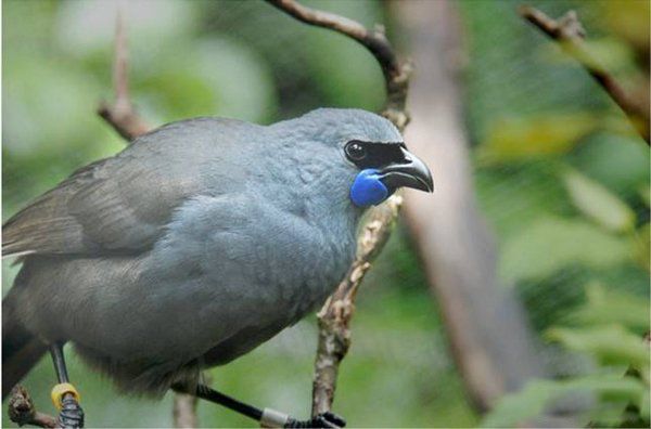 ʮ�����Ķ������� ǰʮ�����Ķ����Ƕ���Ǯ