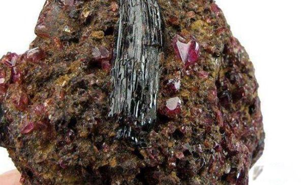 ʮ�����Ķ������� ǰʮ�����Ķ����Ƕ���Ǯ