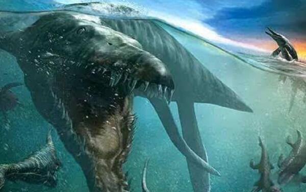 �������ǿ����� �����޵Ĵ��ͺ��������ж�����