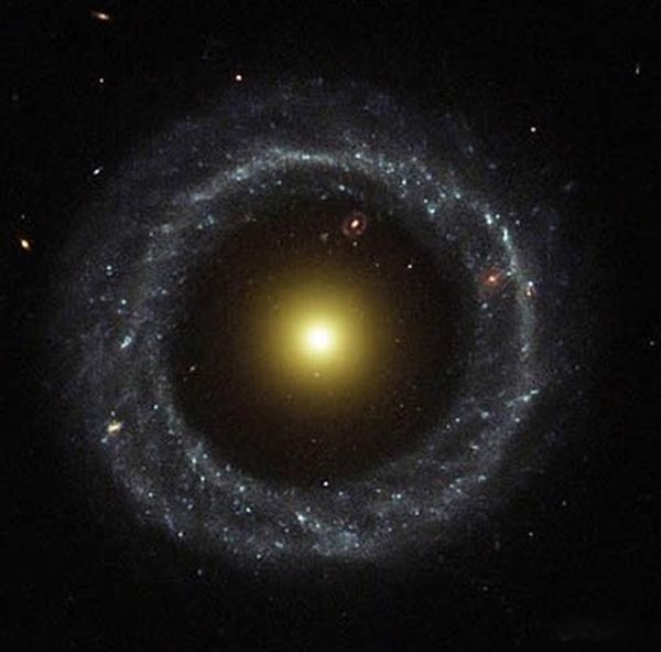 �ѷ��ֵ���ϵ���� ʮ����ָ����ʲôͼƬ