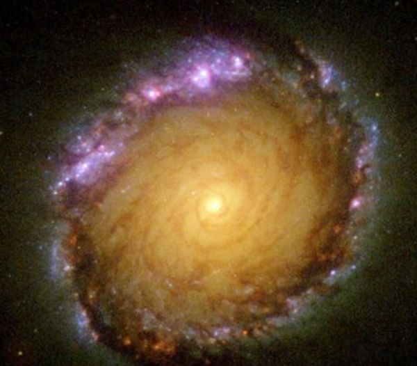 �ѷ��ֵ���ϵ���� ʮ����ָ����ʲôͼƬ