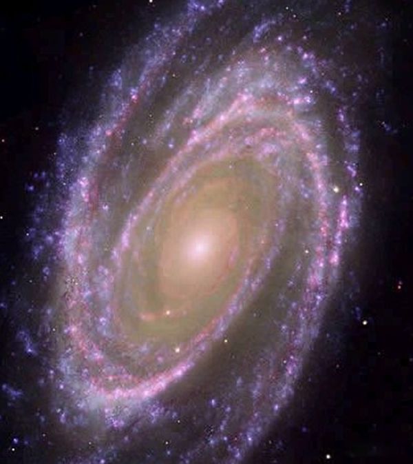 �ѷ��ֵ���ϵ���� ʮ����ָ����ʲôͼƬ