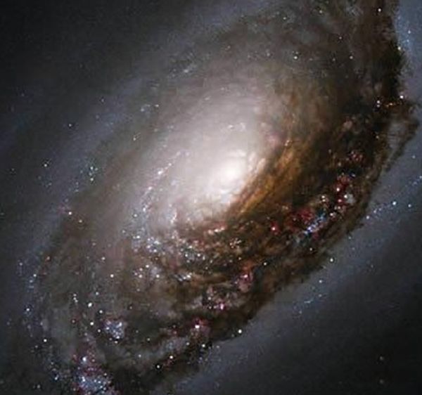 �ѷ��ֵ���ϵ���� ʮ����ָ����ʲôͼƬ