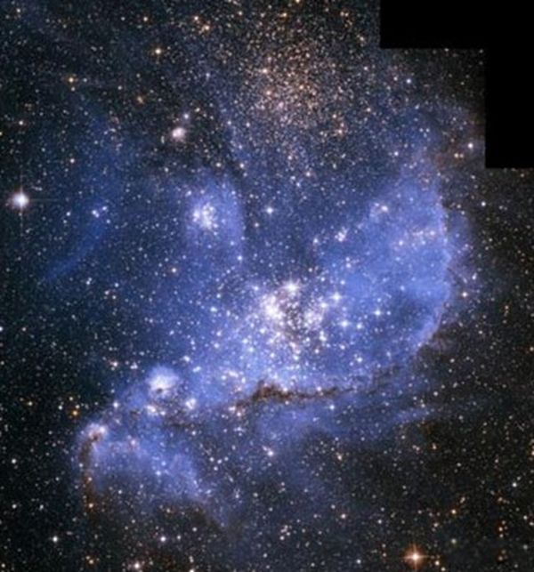 �ѷ��ֵ���ϵ���� ʮ����ָ����ʲôͼƬ