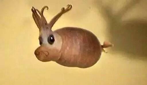 С������ͼƬ��ʲô�� �ᷢ�ⳤ�÷ǳ��ɰ�