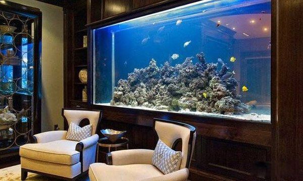 ��լ��а�������İڼ�����ǰʮ ���Ըı���