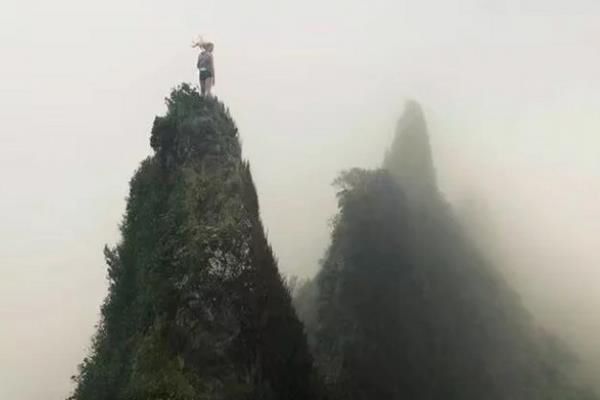 会当凌绝顶一览众山小是谁写的诗 描写的是哪里的美景