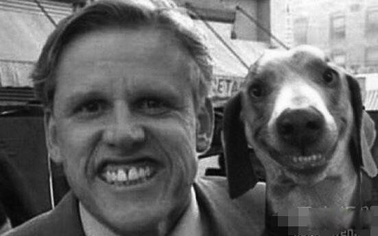 smiledogjpg΢Ц������Ƭ �ֲ�ԭͼΪʲô������