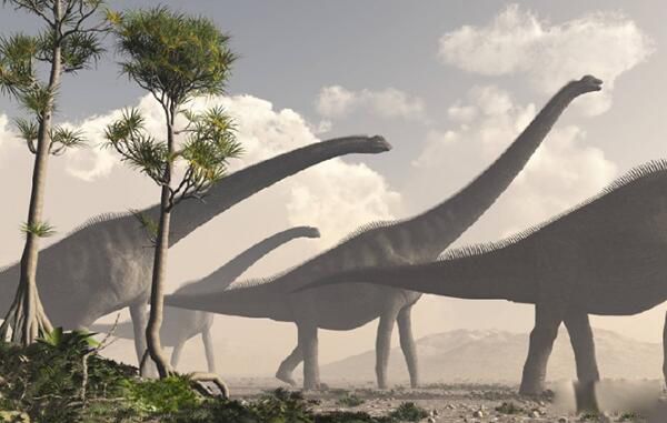 ���������ж���� ����ʳ�ݿ����ļ��