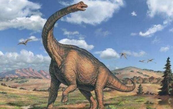 ���������ж���� ����ʳ�ݿ����ļ��