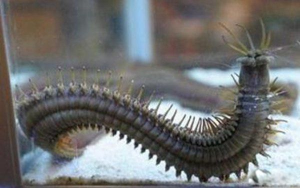 �����س���ʲô ��п�����ʲô����