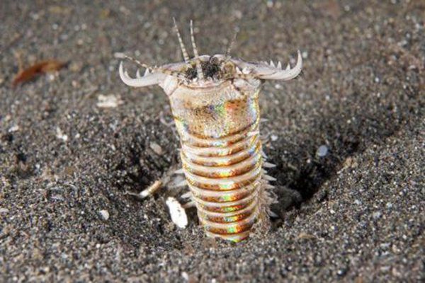 �����س���ʲô ��п�����ʲô����