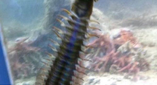 �����س���ʲô ��п�����ʲô����