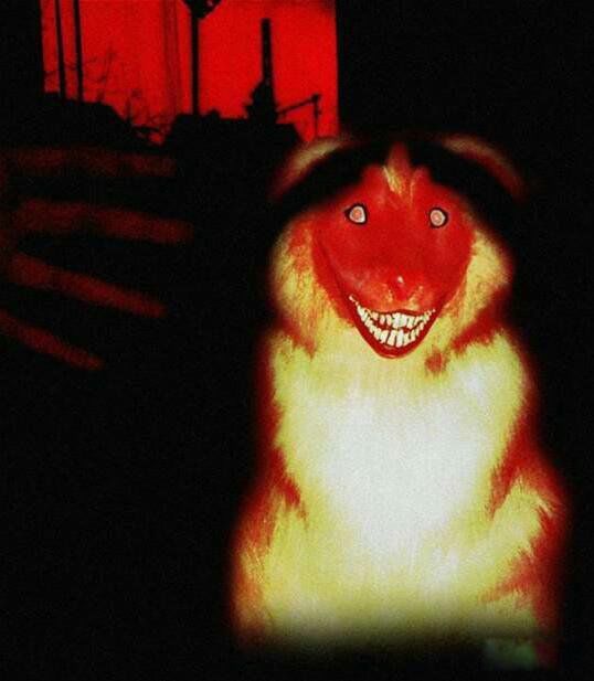 ΢Ц��ͼƬԭͼ�ֲ� ΢Ц������Ŀֲ�����