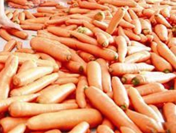 �߽���ѧ��һ����ֲ� �߽���ѧ�����¼�����Щ